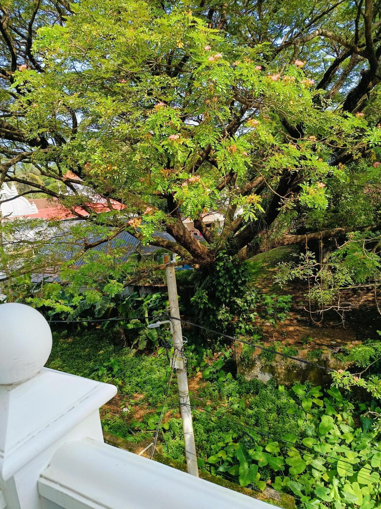 Elzas Fort Inn Kochi Værelse billede
